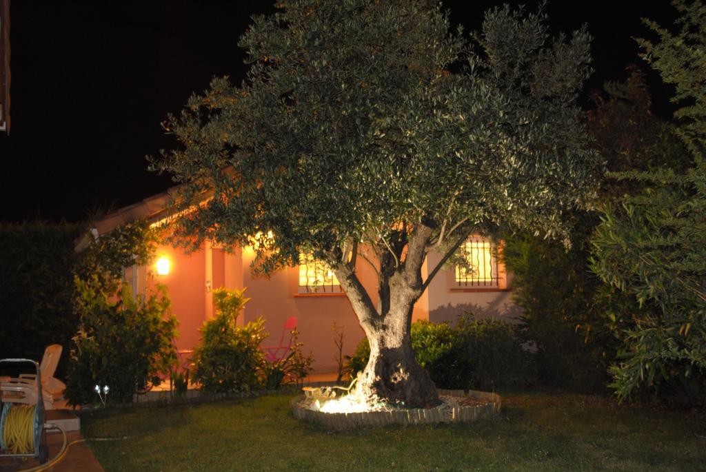 Les Cypres Florentins Colomiers Pokoj fotografie
